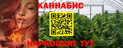 прущие грибы Моздок