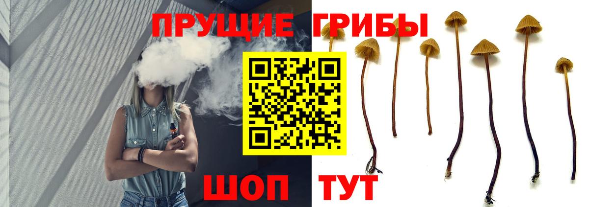 Самара  Псилоцибиновые грибы прущие грибы  даркнет сайт  Вход с VPN  Псилоцибиновые грибы MAGIC MUSHROOMS 
